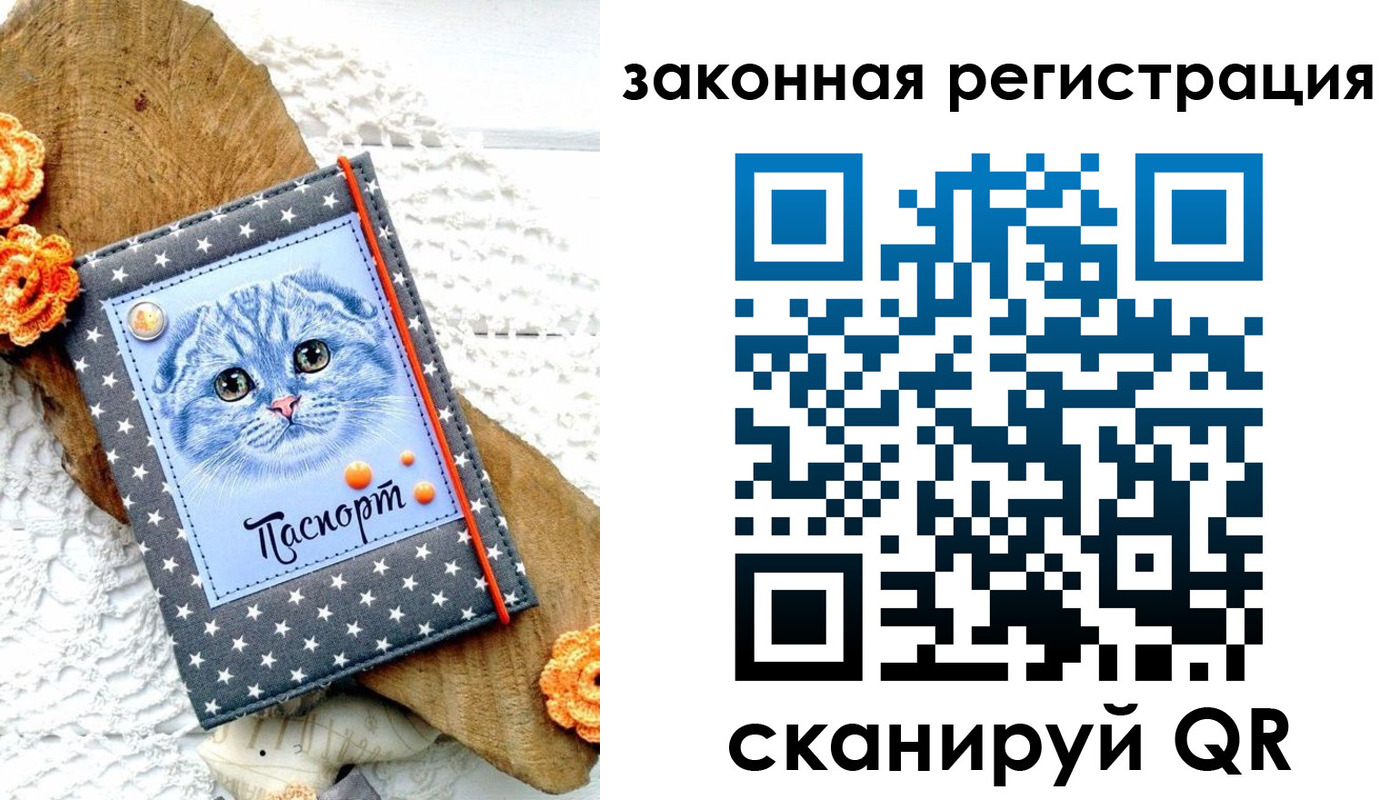 регистрация в Мордовии
